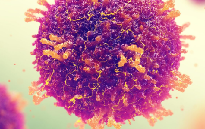 Suspeita de sarampo é registrada em criança de Palma Sola