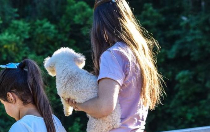 Alface D’Água começa a sair do Rio das Flores; assista ao vídeo