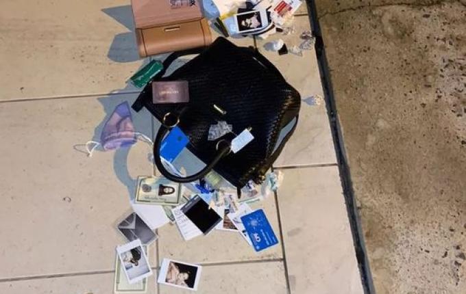 Ladrão suspeito de levar placenta congelada em SC é investigado por 10 furtos