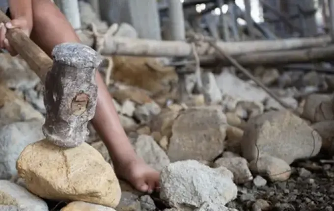 Brasil registrou maior número de denúncias de trabalho escravo da história em 2023, diz governo