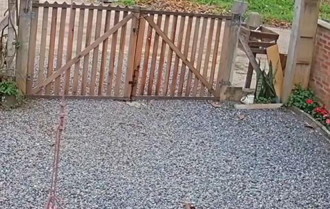 VÍDEO: Charrete desgovernada invade casa em Santa Catarina