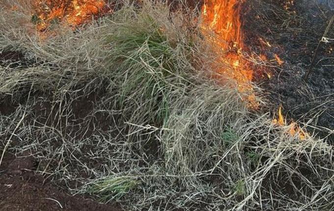 Incêndio em vegetação atinge 100 hectares após carro pegar fogo no interior de Sul Brasil