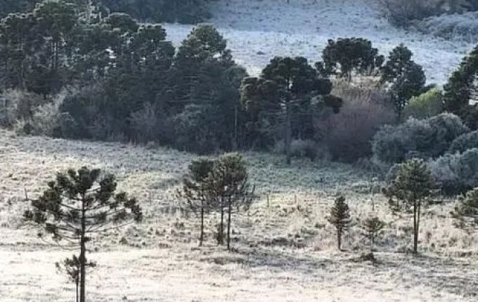 Serra de SC tem sexto dia seguido de temperaturas negativas