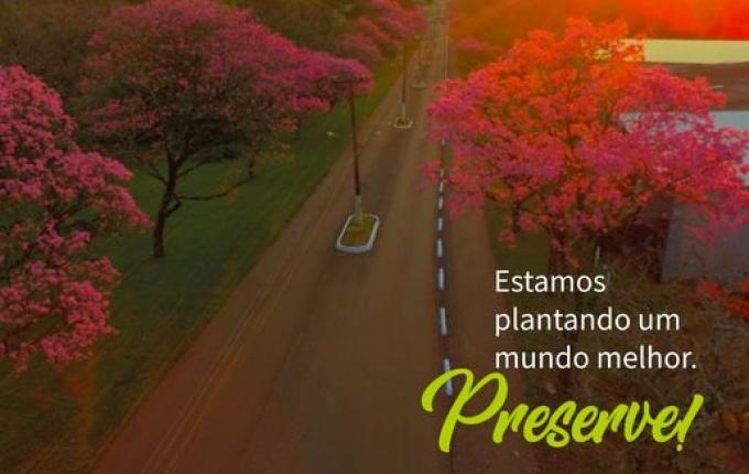 Mais de duas mil árvores foram plantadas em SMOeste nos últimos dois anos