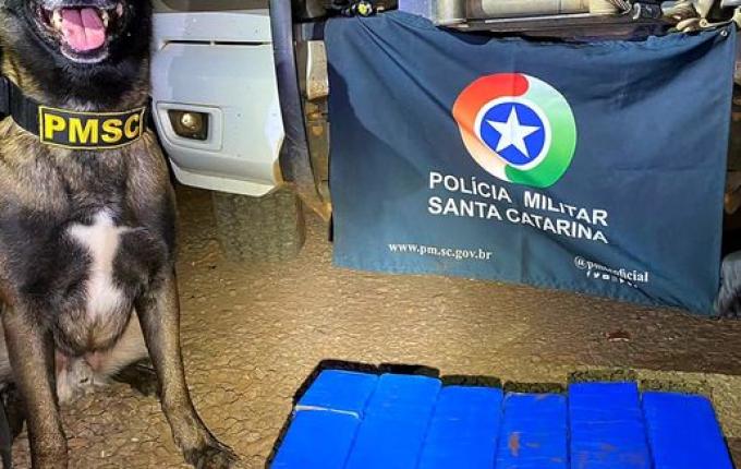 Mulher é presa em flagrante por tráfico de quase 21 quilos de maconha na BR-163