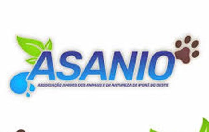 ASANIO define calendário de eventos para arrecadar fundos para manutenção das atividades