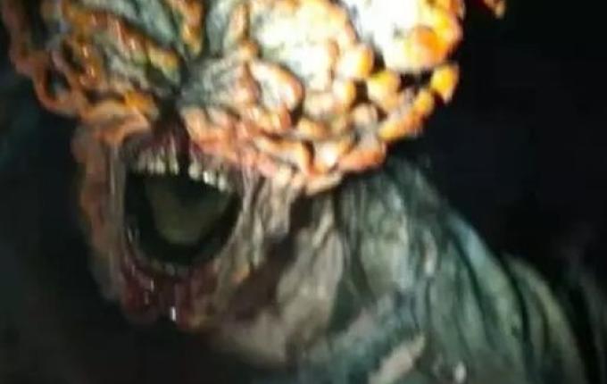 Fungo que ‘zumbifica’ pessoas em série existe em Santa Catarina