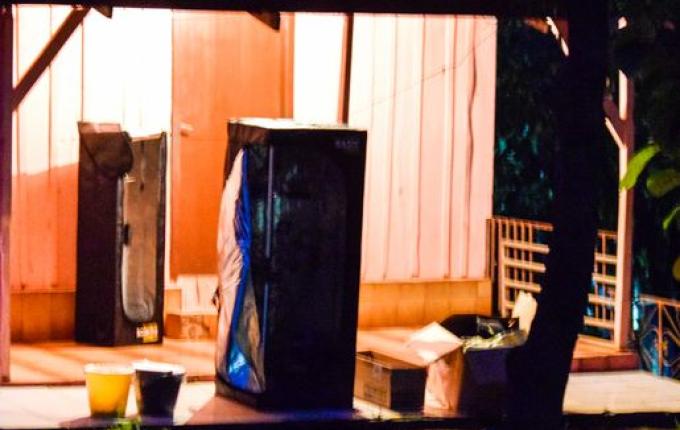 PM prende três pessoas por tráfico e apreende estufas de maconha em São Miguel do Oeste