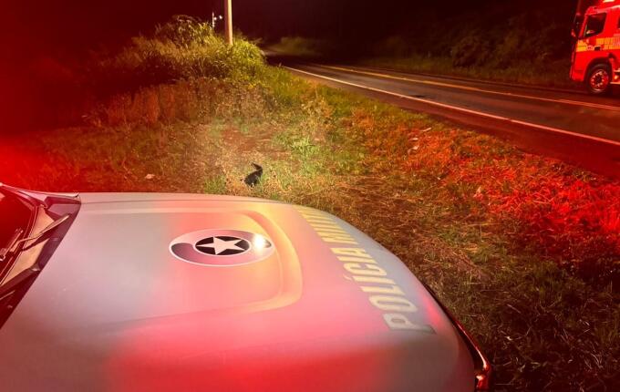 Saída de pista deixa 5 pessoas feridas na SC 163, em São Miguel do Oeste