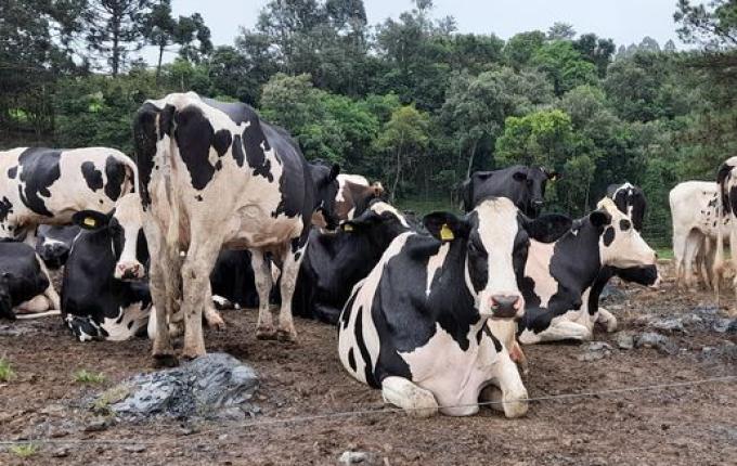 Produtores rurais devem atualizar cadastro na Cidasc até 30 de julho