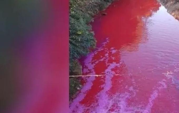 Vazamento de produto químico deixa rio vermelho em Criciúma