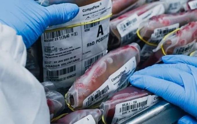 SC tem crescimento de 4,1% nas doações de sangue em 2023
