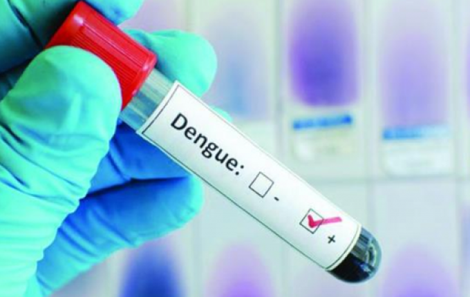 São José do Cedro registra quatro casos de Dengue contraídos no município