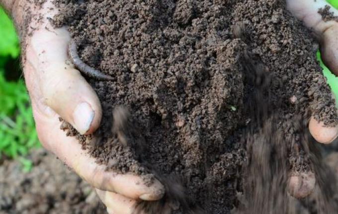Cuidados com a lavoura começam pela análise de solo