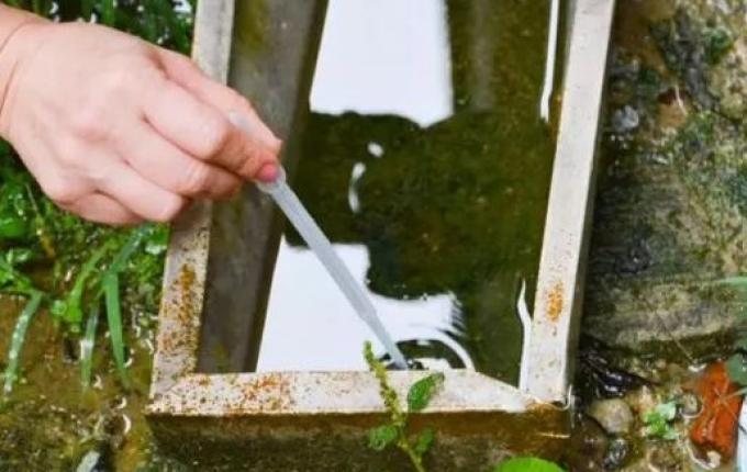 Após explosão de casos, veja o perfil dos infectados por dengue em SC