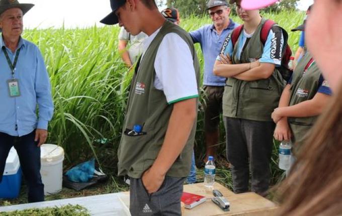 Epagri de Iporã do Oeste realiza Dia de Campo sobre nova variedade de pastagem