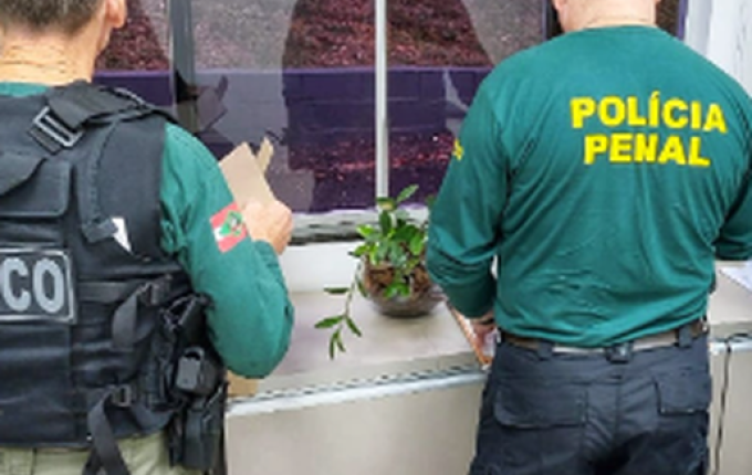 Gaeco deflagra operação "Assepsia", com foco no combate à fraude em licitação