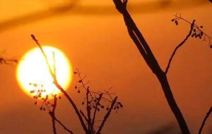 Cidades de SC têm mais de 45ºC de índice de calor em “forno a céu aberto”