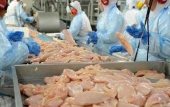 Hong Kong suspende importação de frigorífico de SC após caso de Coronavírus em frango