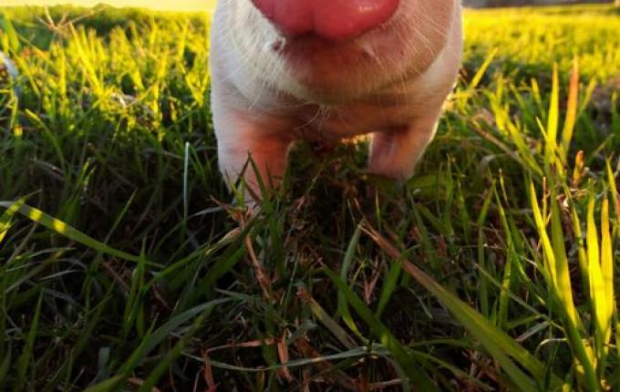 Vencedores do concurso “Belezas da Minha Terra” terão fotos no calendário de eventos de SJCedro
