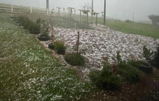 Temporal de granizo deve causar prejuízo médio de 20% em SMOeste
