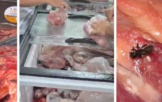 Carne podre e com moscas virava charque e era vendida no comércio de Itajaí