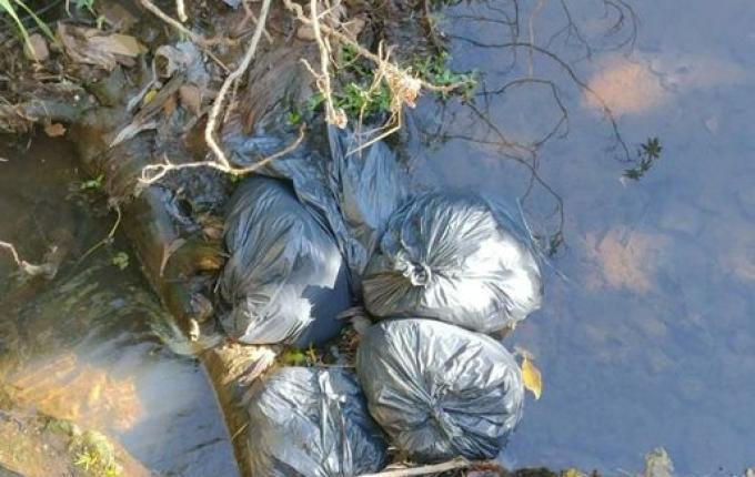 Moradora flagra descarte irregular de lixo em São Miguel do Oeste