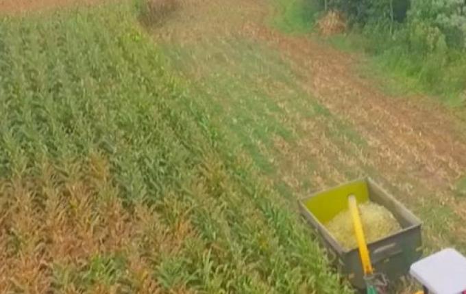 Estado homologa Decreto Municipal de Emergência devido à estiagem em São Miguel do Oeste