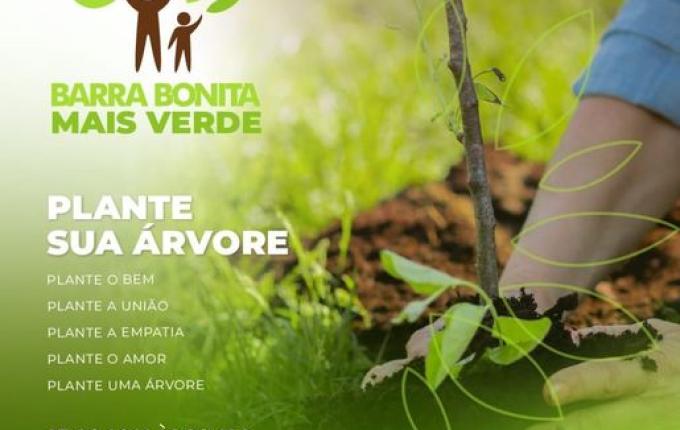 Barra Bonita realiza o plantio de 400 árvores em área próxima do centro
