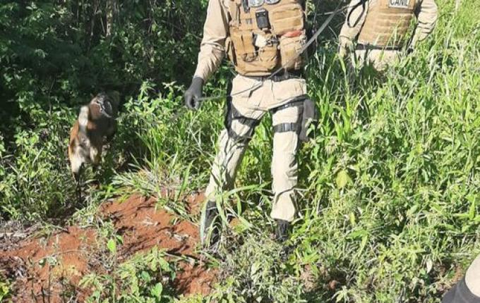 Suspeito de assalto em Belmonte é preso no interior de Itapiranga