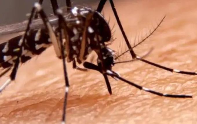 Vacinação contra a dengue para adolescentes é ampliada em todos os municípios de SC