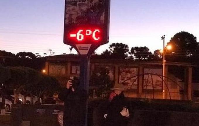 Santa Catarina tem mínima de -8°C e árvore fica congelada em Urupema