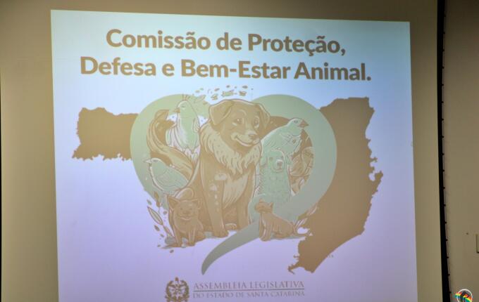 Foto da galeria