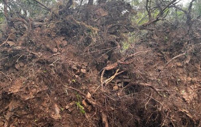Vendaval destrói telhado de casa e galpão no interior de São Miguel do Oeste