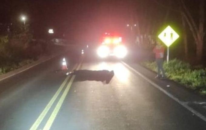 Homem morre atropelado por caminhão em rodovia no Oeste de SC