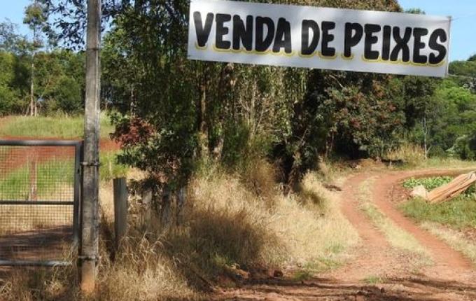 Venda de peixes para a Semana Santa já está em andamento em São Miguel do Oeste