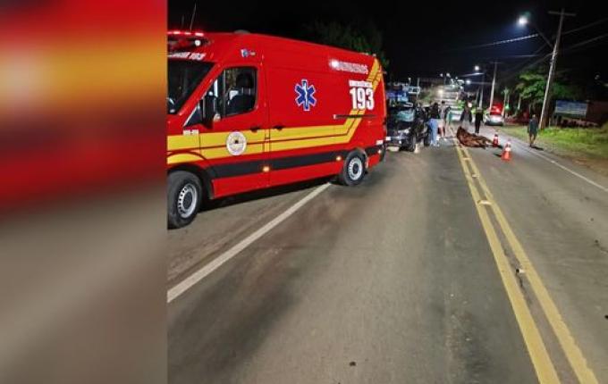 Motorista fica ferido após colidir com cavalo na SC-386, em Iporã do Oeste