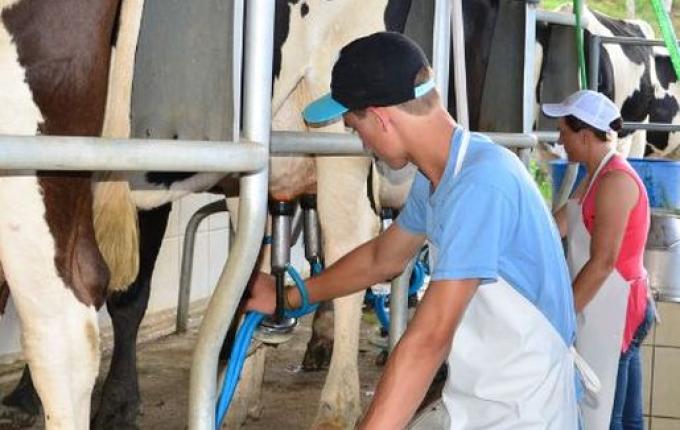 Projetos na Alesc querem proibir leite reconstituído de pó importado em SC