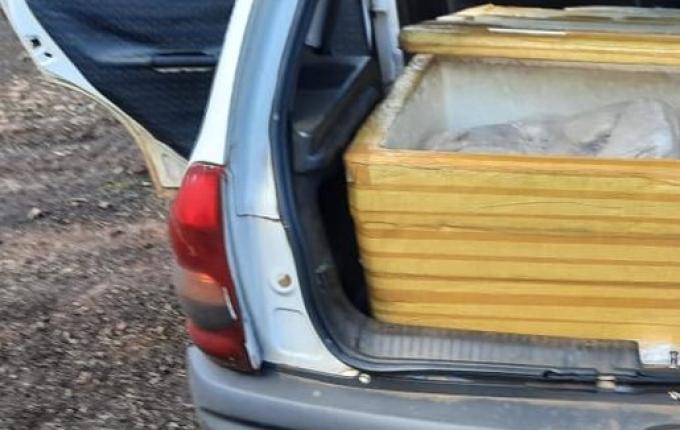 Vigilância Sanitária de Itapiranga apreende peixes vendidos por ambulantes