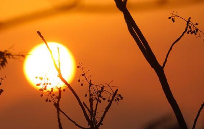 Semana começa com sol e calor intenso, e máximas se aproximam dos 40°C em SC