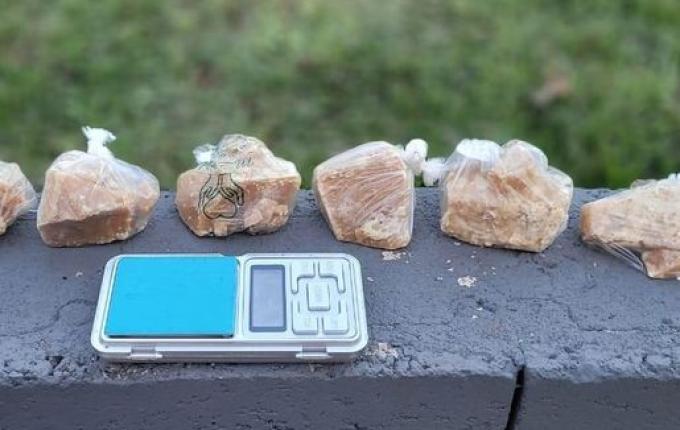 Cães farejadores ajudam PM a localizar crack enterrado em mata de São Miguel do Oeste