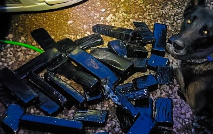 Canil encontra mais droga em carro usado para o tráfico em SMO