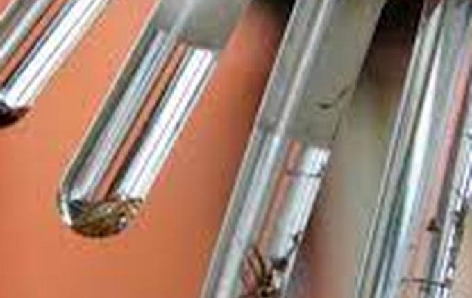 Método LIRAa coletará dados de 250 imóveis em São José do Cedro