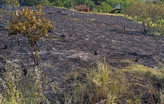 VÍDEO: Incêndio em vegetação mobiliza bombeiros de Itapiranga