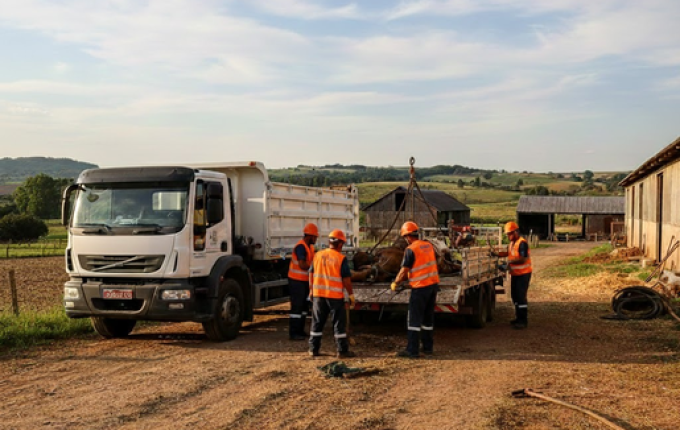 São Miguel do Oeste mantém serviço gratuito para recolher animais mortos em áreas rurais