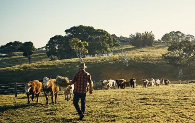 Itapiranga retoma programa de Estágio Agropecuário na Alemanha