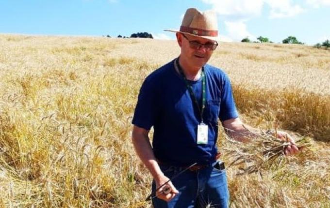 Conectando ao Agro fala sobre o plano safra; ouça a entrevista