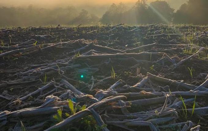 Geada muda paisagem em São Miguel do Oeste neste domingo; FOTOS E VÍDEO