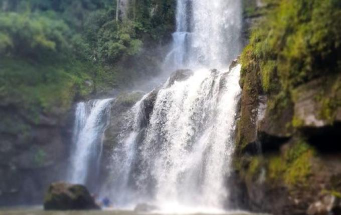 Primeiras rotas turísticas devem ser liberadas ainda neste ano, em Palma Sola