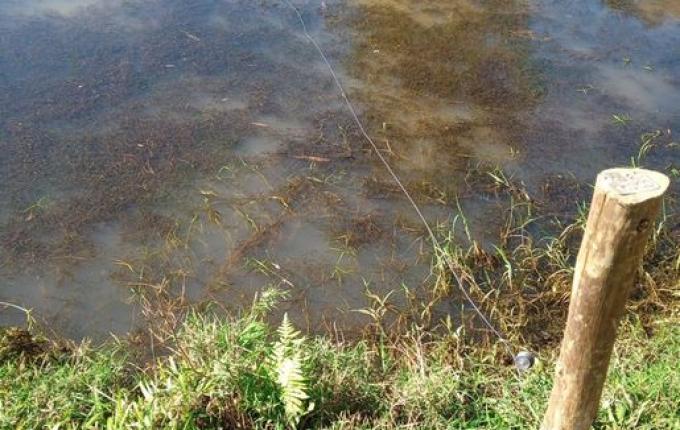 Homem é encontrado morto em açude no interior de Tunápolis